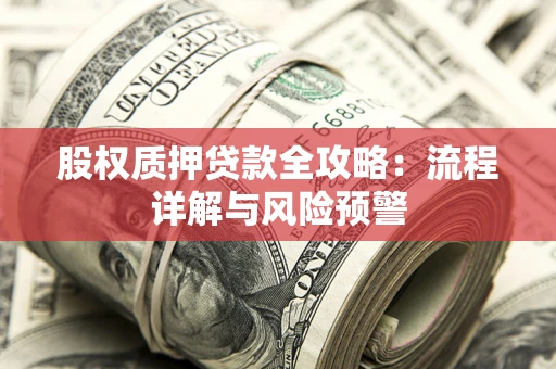 北京股权质押贷款全攻略：流程详解与风险预警