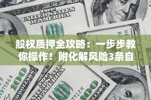 北京股权质押全攻略：一步步教你操作！附化解风险3条自救法则