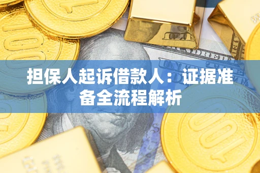 北京担保人起诉借款人：证据准备全流程解析