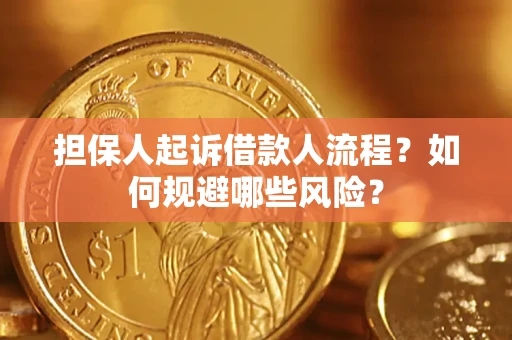 北京担保人起诉借款人流程？如何规避哪些风险？