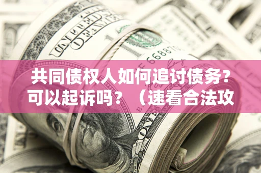 北京共同债权人如何追讨债务？可以起诉吗？（速看合法攻略）